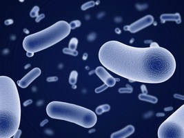 bigstock-close-up-view-of-bacteria-12354305 (Copy)