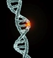 gene-11 (Copy)
