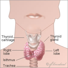 thyroid cancer symptoms